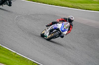 anglesey;brands-hatch;cadwell-park;croft;donington-park;enduro-digital-images;event-digital-images;eventdigitalimages;mallory;no-limits;oulton-park;peter-wileman-photography;racing-digital-images;silverstone;snetterton;trackday-digital-images;trackday-photos;vmcc-banbury-run;welsh-2-day-enduro